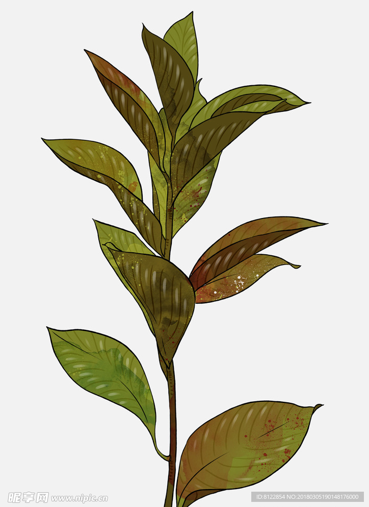 手绘植物素材
