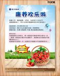 康养欢乐游