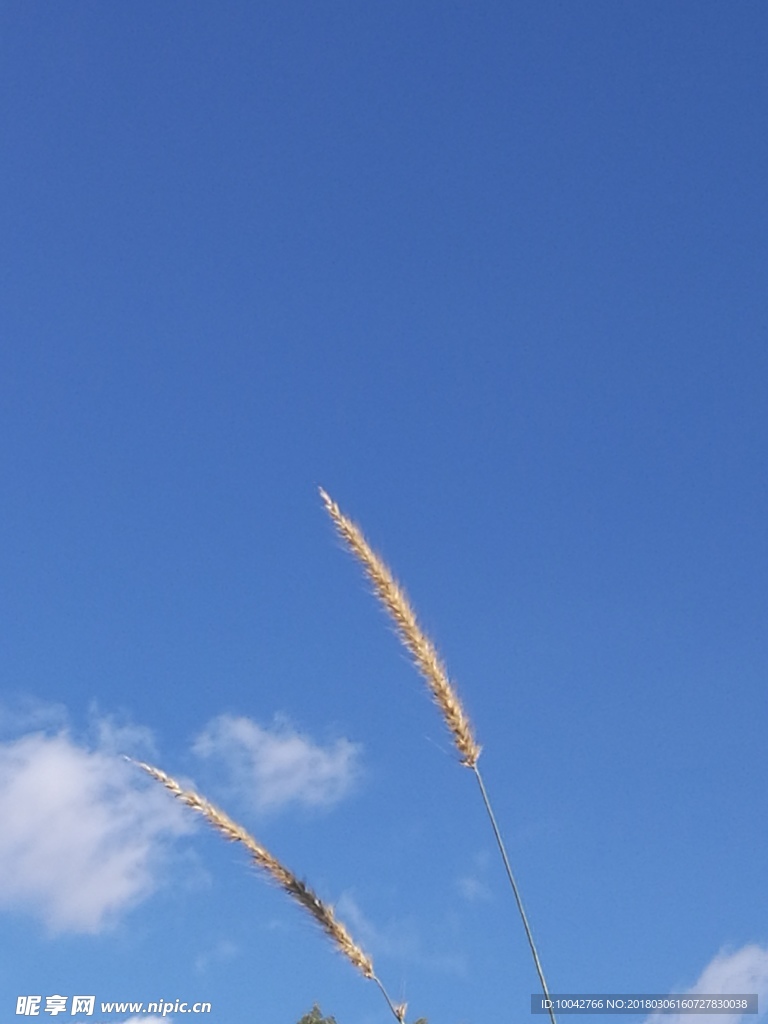 风景照