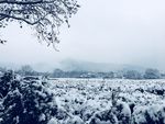 雪景