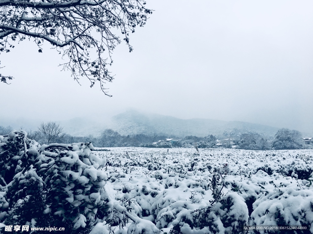 雪景