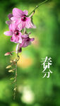 春分