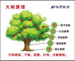 大树原理
