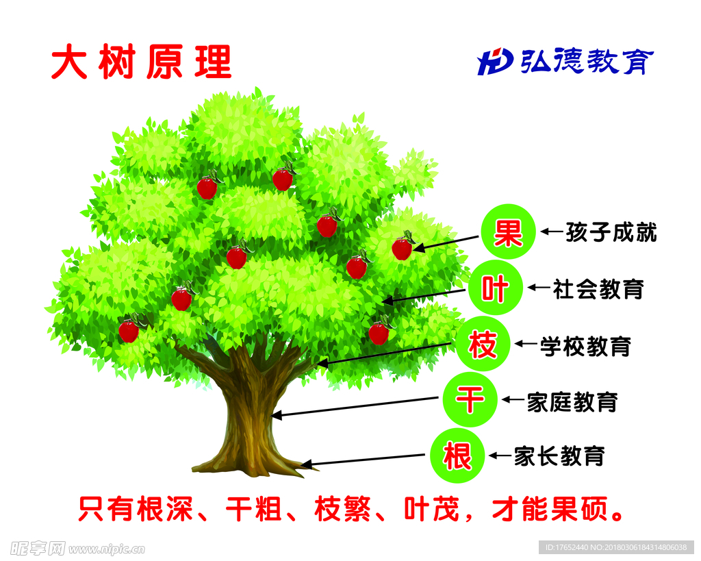 大树原理