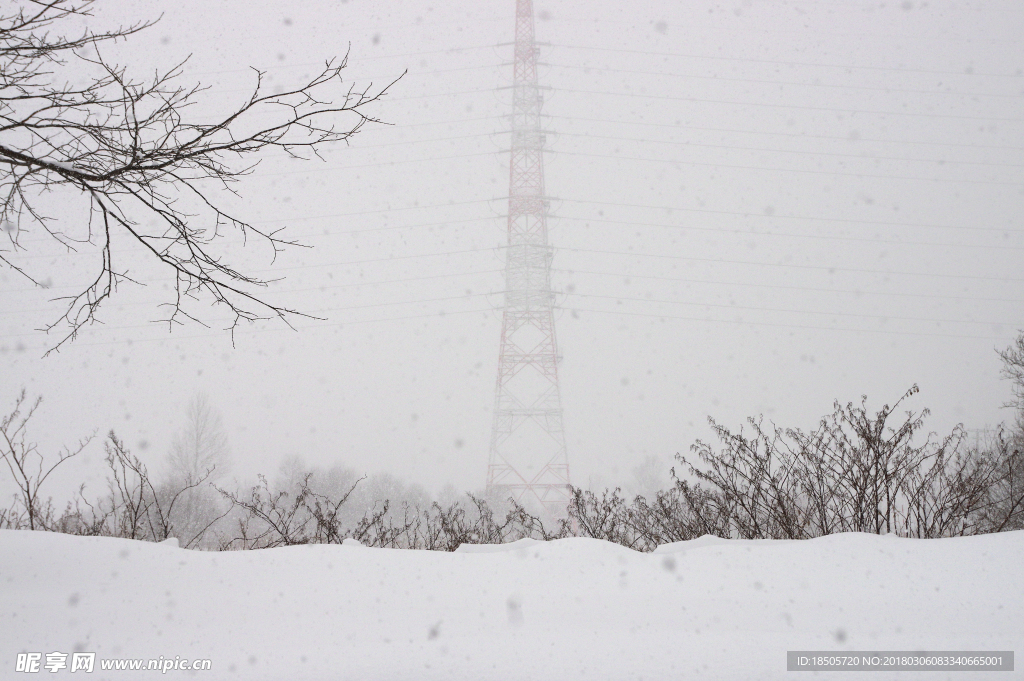 冬天的雪景图片