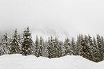 冬天的雪景图片