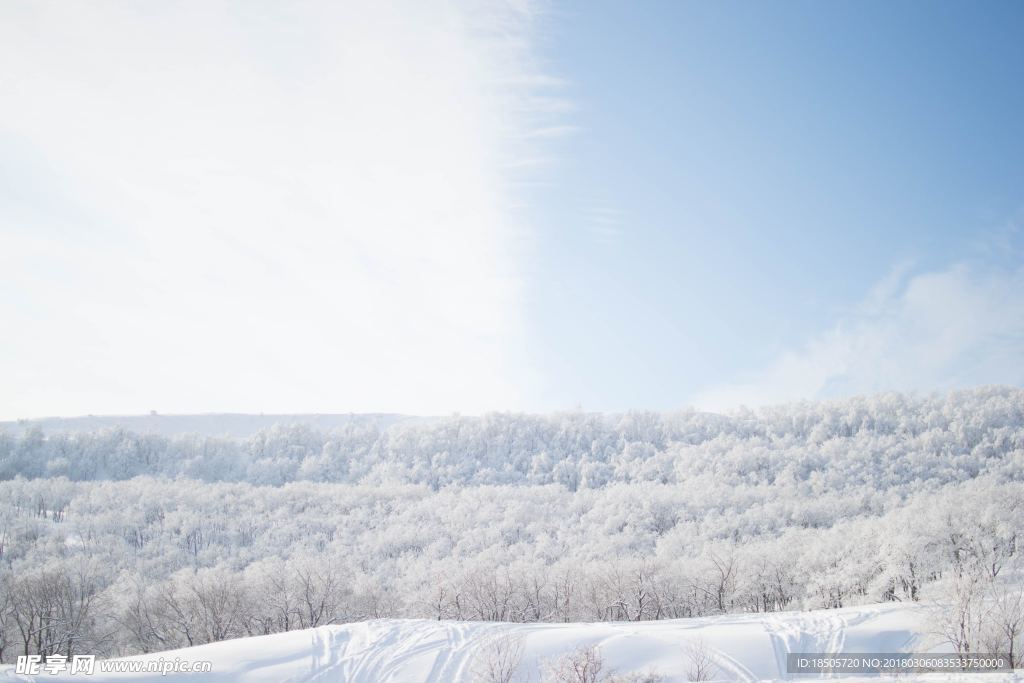 冬天的雪景图片