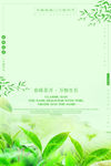 春游踏青