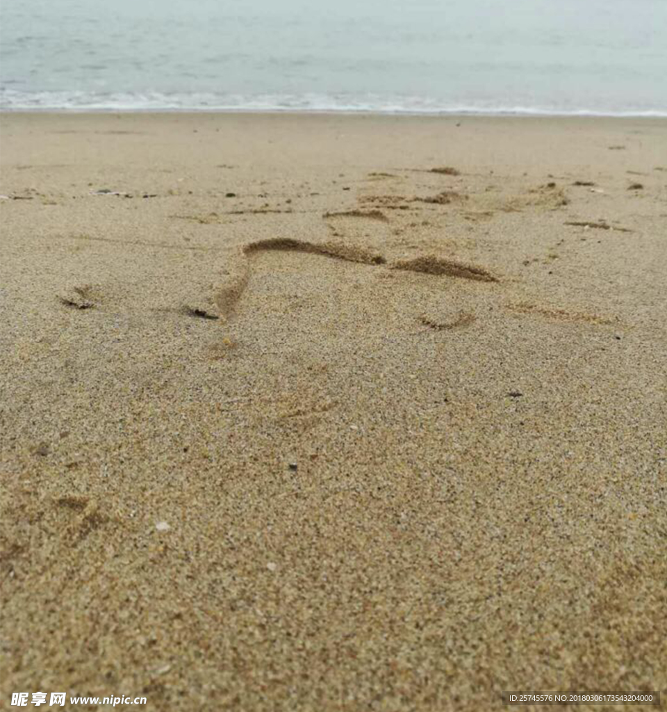 沙滩