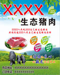 生态猪肉