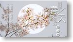 春天梨花海报