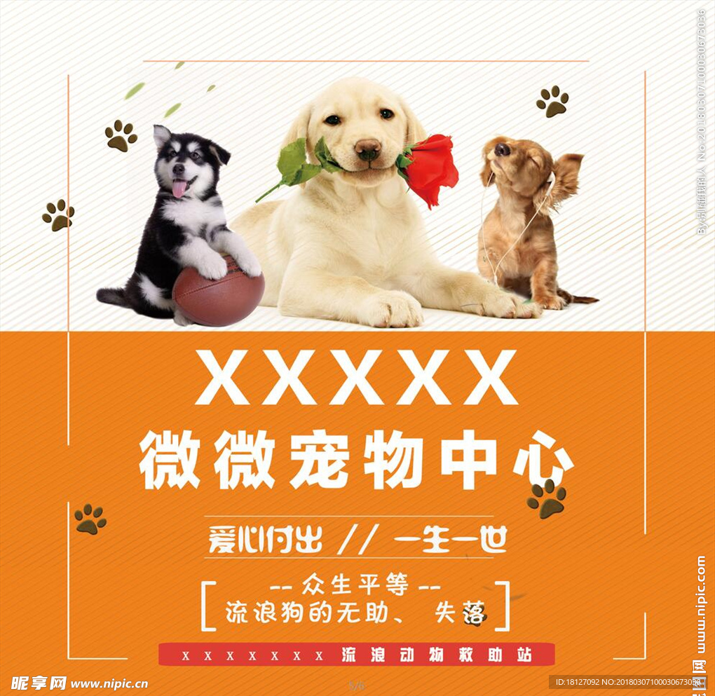 宠物医院海报