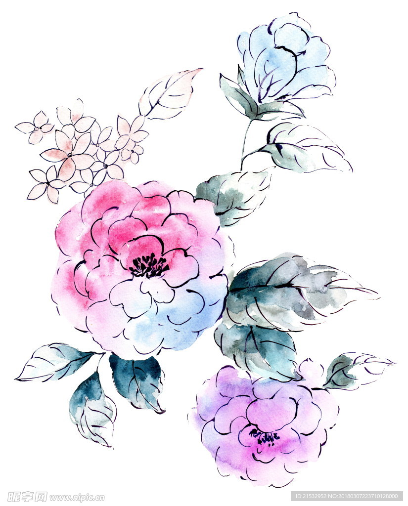手绘水彩花卉设计