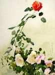 水彩花卉