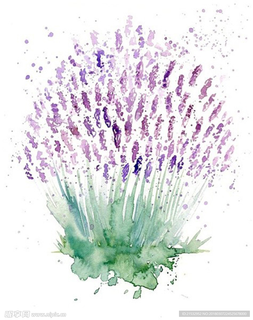 写意花卉