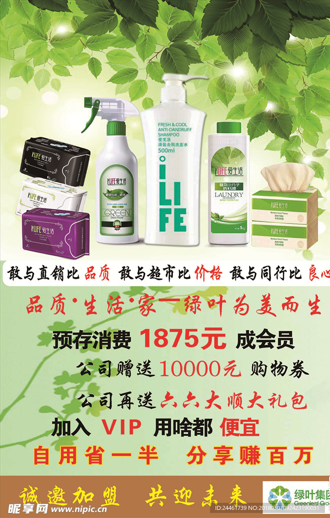 绿叶活动