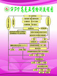 HPV检测试点项目