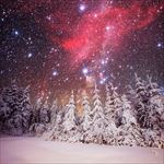 唯美星空下的雪松