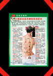 芷城轩 经络图