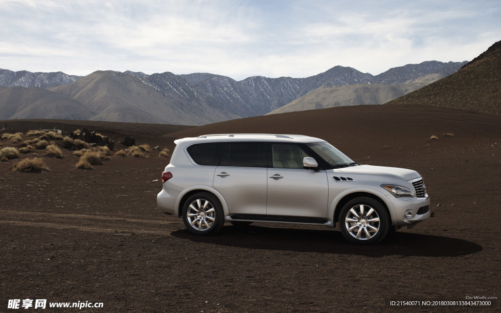 英菲尼迪 QX56