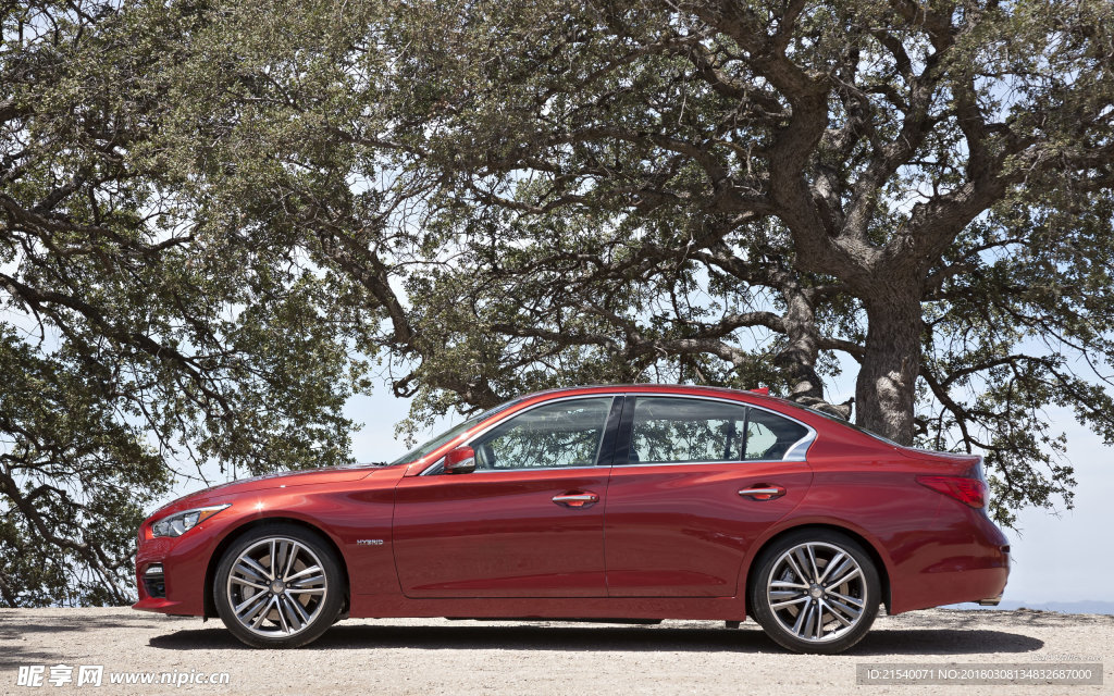 英菲尼迪 Q50