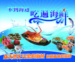 不到海边 吃遍海鲜