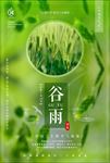 谷雨