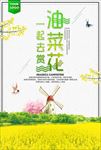 油菜花
