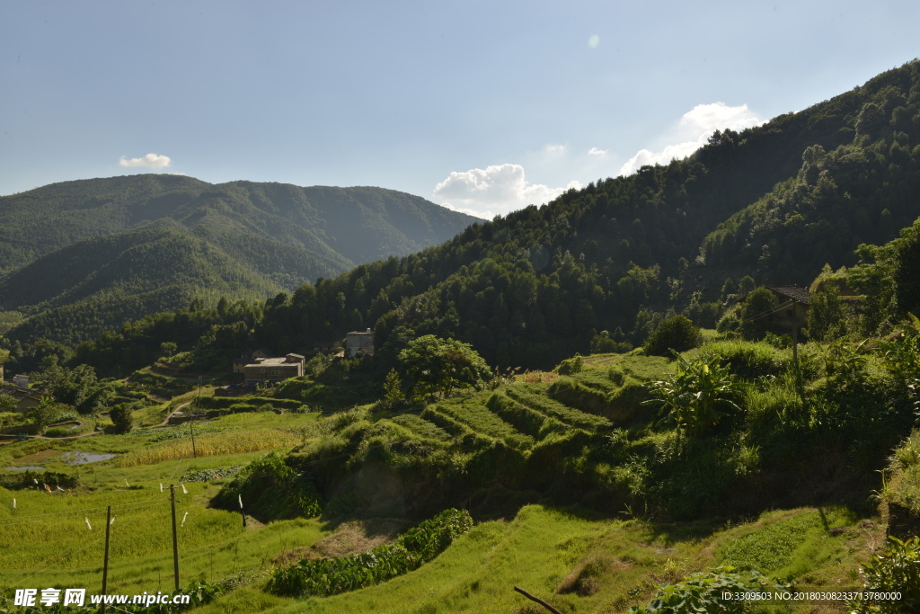 农村风光