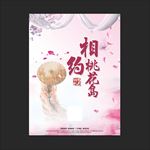 桃花节