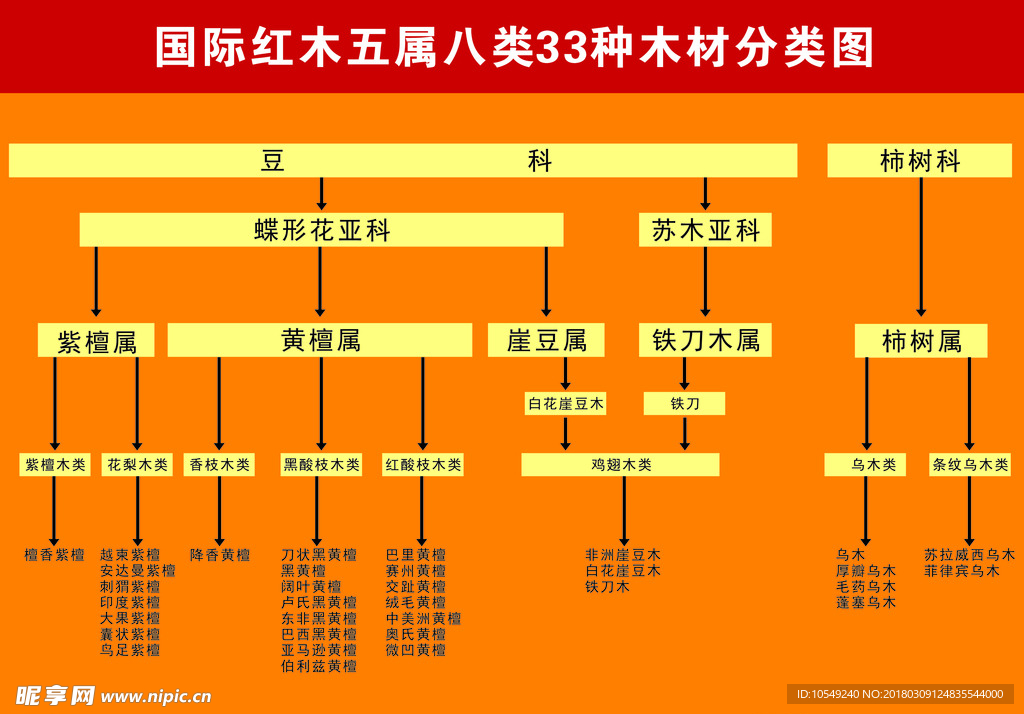 国际红木五属八类33种木材分类