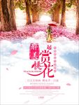 桃花海报  桃花节 桃花节宣传