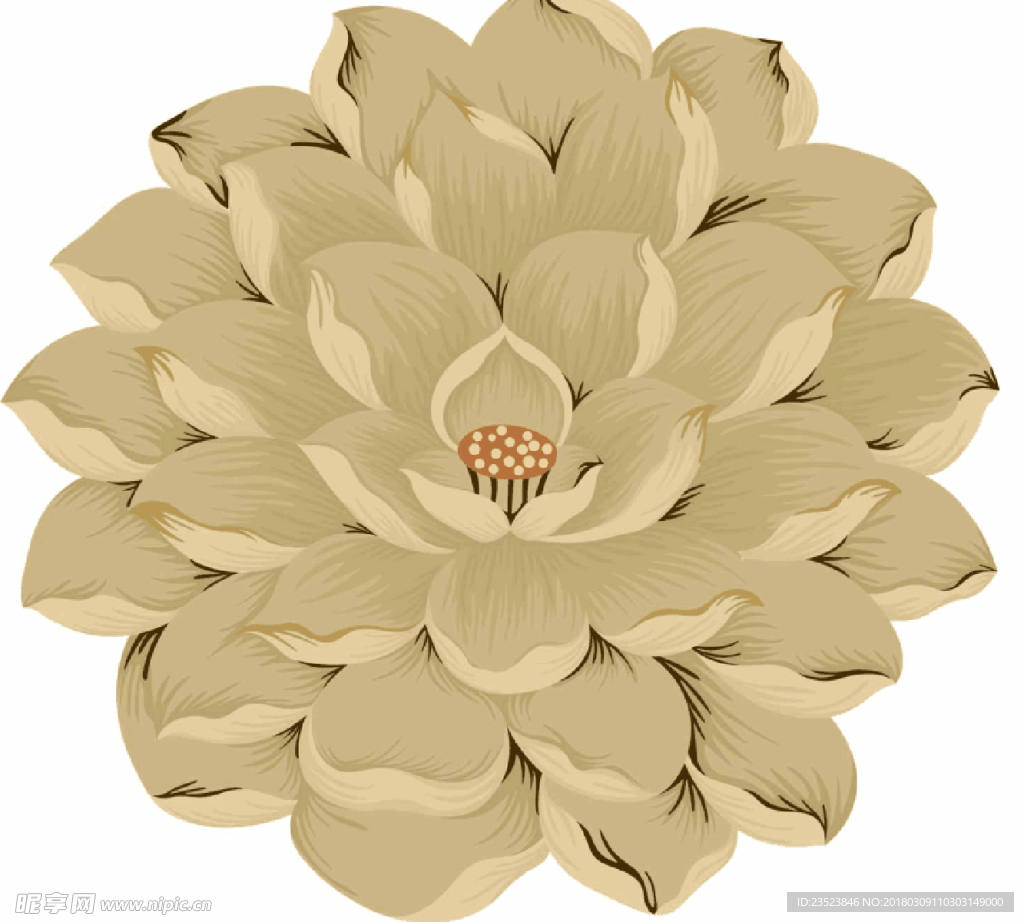 莲花