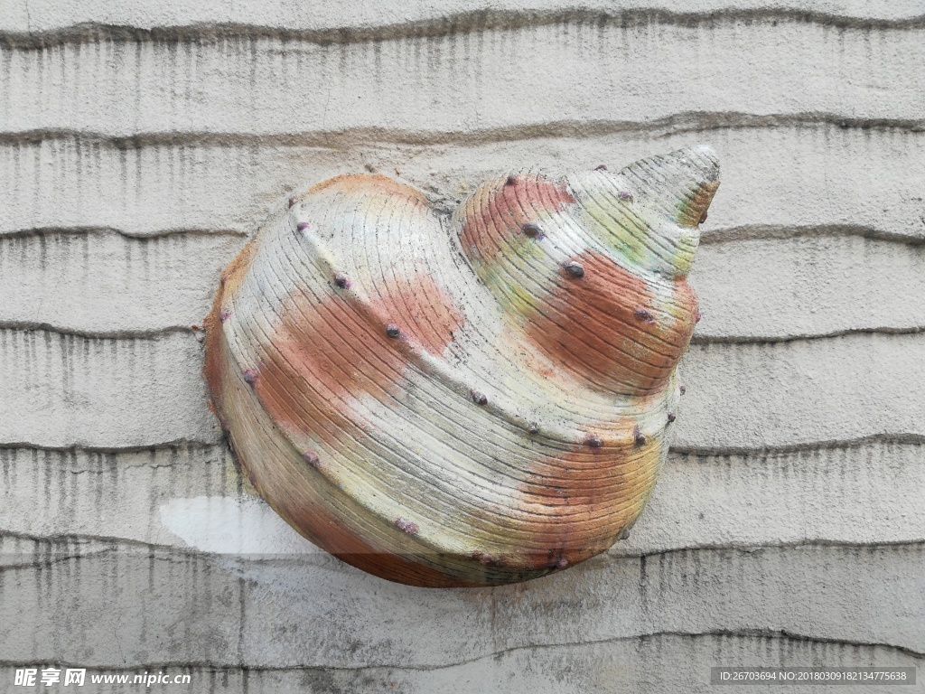 彩色海螺雕刻
