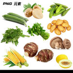 蔬菜免扣元素