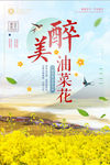 小清新春暖花开醉美油菜花