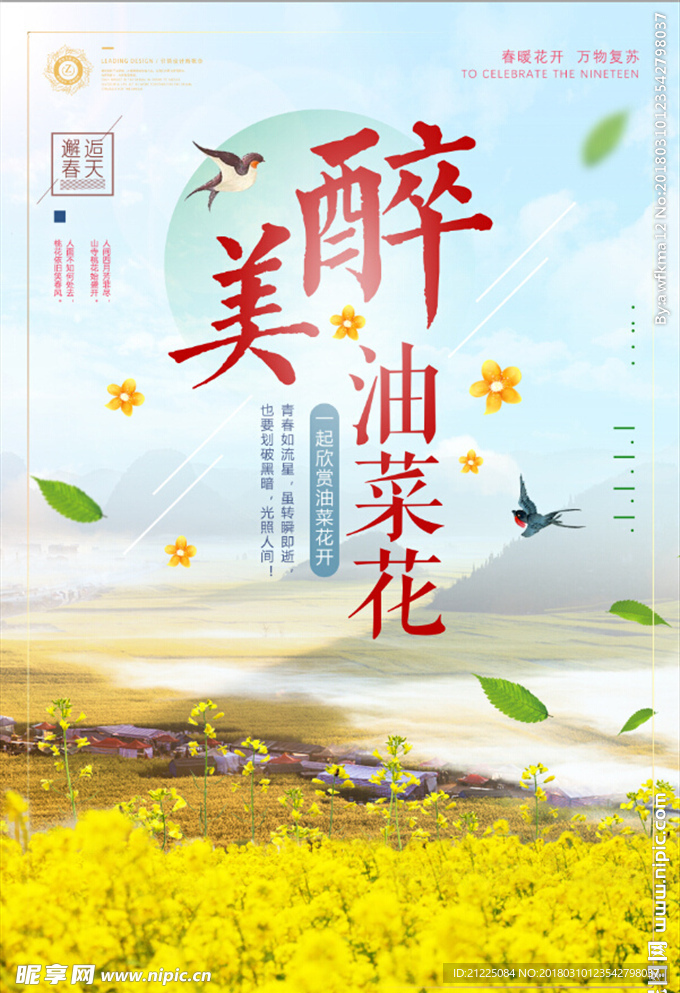 小清新春暖花开醉美油菜花