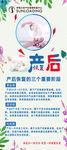 产后三个阶段