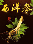 淘宝素材 详情海报 样品 人参