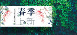 春季上新