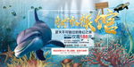 创意夏日奇妙水族馆展板海报