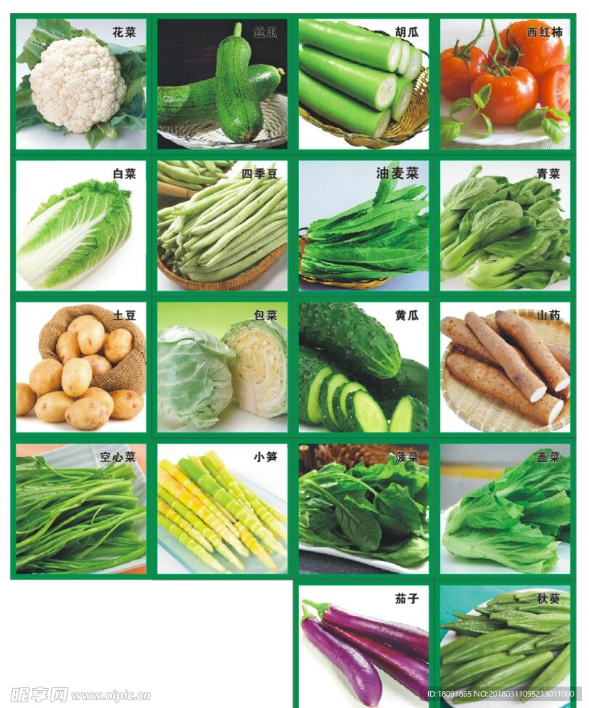 各种蔬菜展板