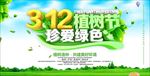 植树节珍爱绿色