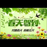 春天驾到