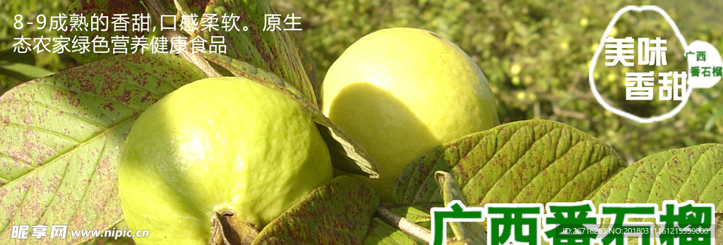 番石榴
