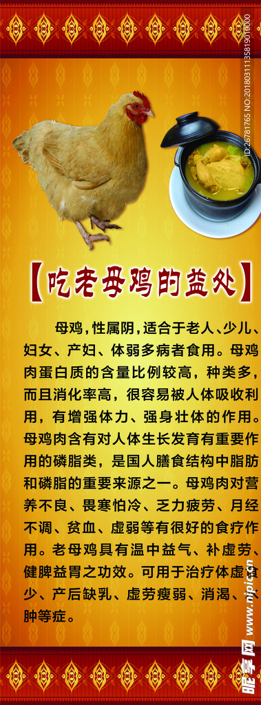 老母鸡