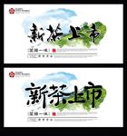 新茶上市