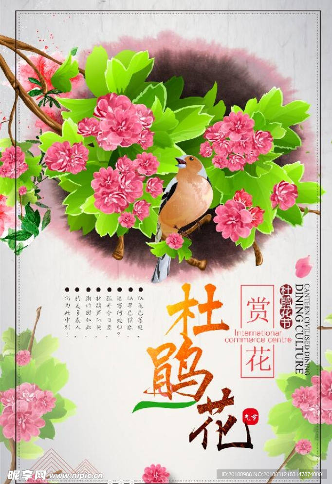 杜鹃花