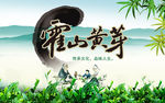 霍山黄牙包装单面