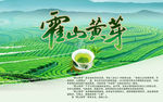 霍山黄牙店面海报